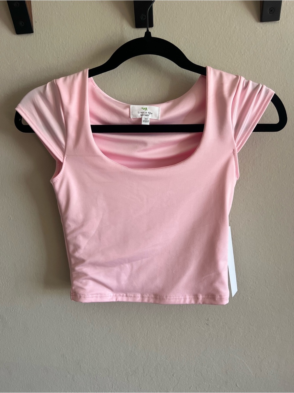 Light Pink Scoop Neck Cap Sleeve Crop Top by LuLu & J